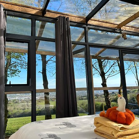 Sky Gazer Cabin In The Woods Дъблин Екстериор снимка